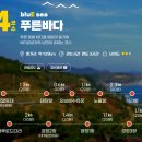 (주)영덕버스 | [해파랑길] 21코스 영덕 블루로드 4코스