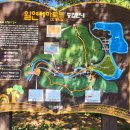 일연테마로드 이미지