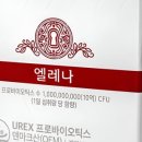 더엘레나