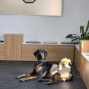 개네집곳간 이미지