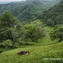 마루목장 이미지