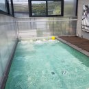 대부도 펜션월드(수까사) 이미지