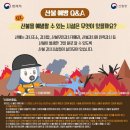 산불무인감시시설 이미지