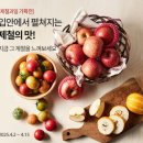 과일오아시스 - 북구 명촌로 54 | 과일오아시스