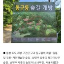 일능이버섯백숙 Daum카페