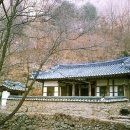 온계 Daum카페