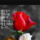오늘도 고맙소