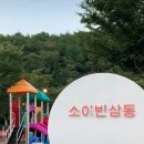 소이빈삼동 이미지