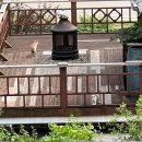 서나와 할아버지 통나무집 | 홍천 감성 숙소 추천ㅣ서나와 할아버지 통나무집 후기_햇님방