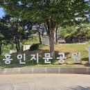 흥인지문공원 금계국 이미지