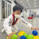 국가대표코리아태권도장 이미지