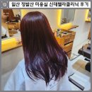 신데렐라헤어 | 일산 정발산 미용실 메이원헤어 극손상모 복구 신데렐라 클리닉 후기