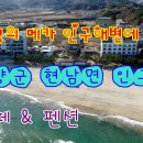 앤드앤드양양