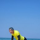 오션서프 이미지