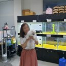 미스터앤 미세스멍 원주점 이미지