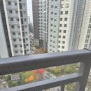 두정상가7길 | 방충망서비스 천안점 거실 미세방충망 교체 강추 후기