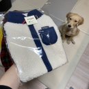 페시얌