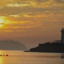 사궁두미 이미지