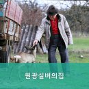 원광실버의집