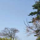 제주놀멍민박 이미지