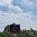 당너머흑염소 이미지