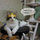 우리단비랑 이미지