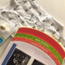 미국에서 임신 중기 / 2nd Trimester (12w - 15w)