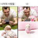 타코파 이미지