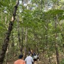 여름 밑반찬 클래스(8월) | [ 체릉 여름 트레일학교 ] 8월 클래스 1주차 후기