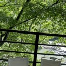 피아프스테이 이미지