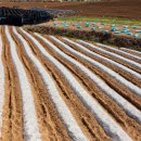 한농연농자재할인마트 이미지