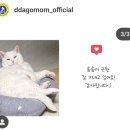 방학사진관