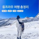 스위스 | 스위스 융프라우 솔직 후기 : vip패스 날씨 웹캠 고산병 신라면