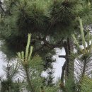 행정사감병기사무소 이미지