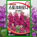 씨드하모니 쇼핑하우