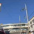 프레전트 | 통영전통시장 근처 가성비 좋은 오션뷰 프레전트 감성펜션 204호 내돈내산 후기 (뚜벅이 여행 추천 !!)