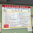 우도하이킹레져 | 제주도 우도 전동차, 전기자전거 내돈내산 대여 후기 "우도하이킹레저" (가격, 위치)