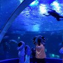 함께하는지역아동센터 이미지