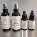 관동중학교 | 강릉미용실 추천 강릉 마들렌헤어 교동미용실 감성 아베다 컨셉살롱 후기