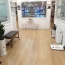 수진3호 이미지