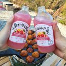 충주호캠핑장 이미지