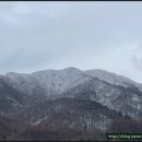오투스넥
