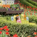 핀란디아펜션 이미지