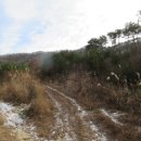 안성리-11 이미지