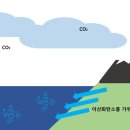 엘코시스템 이미지