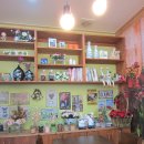 커피꽃향기 이미지