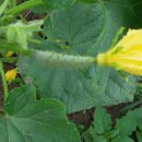 영찬농장 이미지