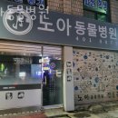 노아동물병원 | 송파구 거여동 동물병원 노아동물병원 진료시간 접근성 이용후기