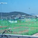 보령종합체육관 스쿼시장 이미지