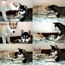 오늘까까 이미지